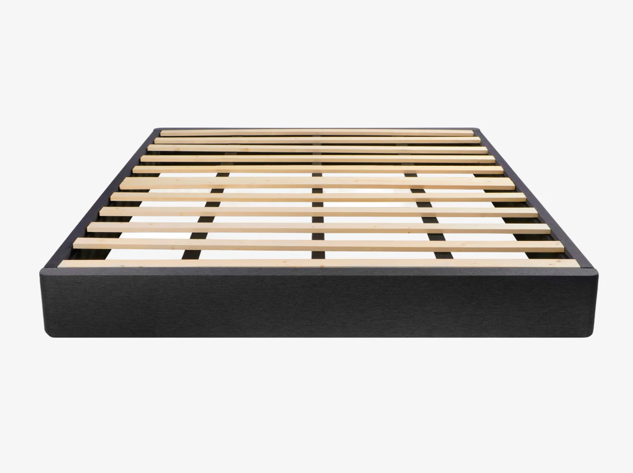 The Foundation - Image 5