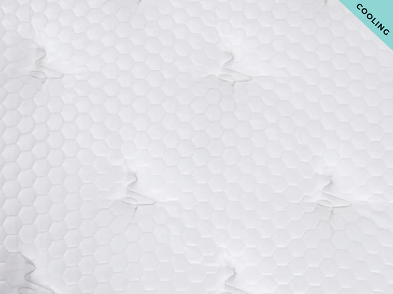 Plank Firm - Image 11